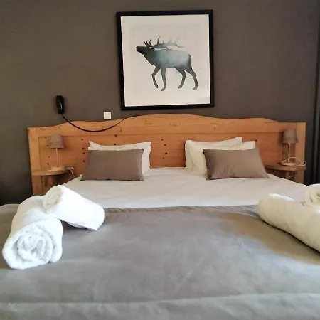 Hotel Aalborg 3* Les Deux Alpes