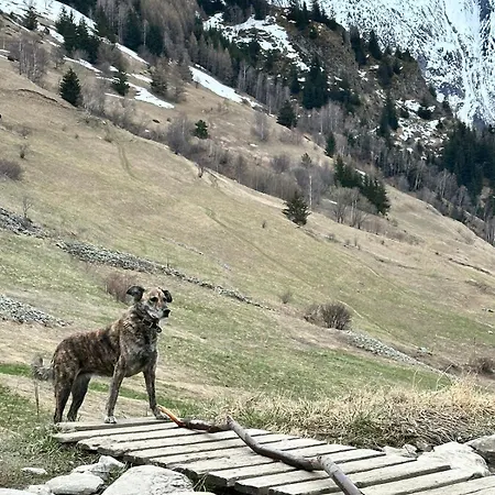 Hotel Aalborg 3* Les Deux Alpes