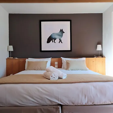 Hotel Aalborg 3* Les Deux Alpes