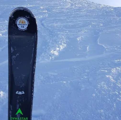 Hotel Hotel Aalborg 3*