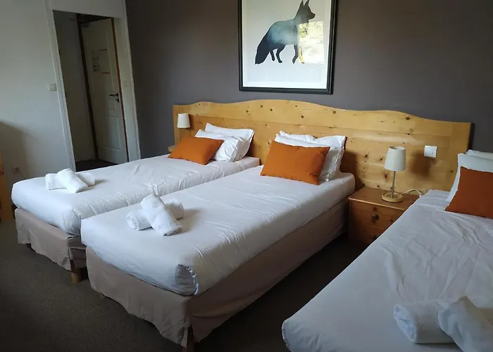 Hotel Hotel Aalborg Les Deux Alpes