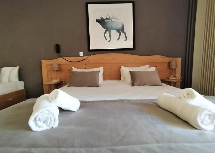 Hotel Aalborg 3* Les Deux Alpes