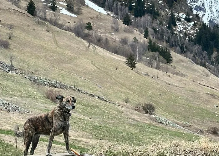 Hotel Aalborg 3* Les Deux Alpes