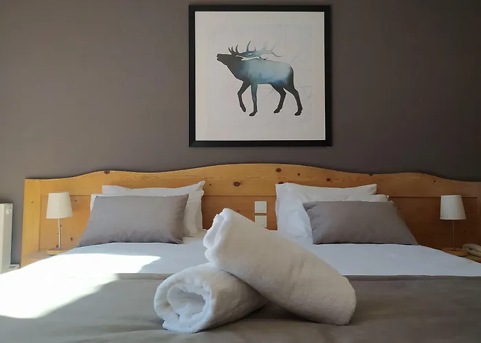 Hotel Aalborg 3* Les Deux Alpes